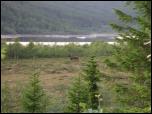 Click on one of the size names below to enlarge this image