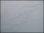 Click on one of the size names below to enlarge this image