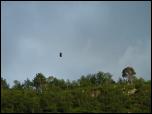 Click on one of the size names below to enlarge this image