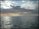 Click on one of the size names above to enlarge this image Click on one of the size names above to enlarge this image