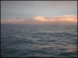 Click on one of the size names above to enlarge this image Click on one of the size names above to enlarge this image