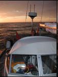 Click on one of the size names above to enlarge this image Click on one of the size names above to enlarge this image