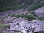 Click on one of the size names above to enlarge this image Click on one of the size names above to enlarge this image