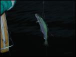 Click on one of the size names above to enlarge this image Click on one of the size names above to enlarge this image