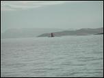 Click on one of the size names above to enlarge this image Click on one of the size names above to enlarge this image